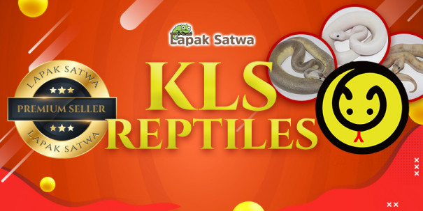 KLS Reptile